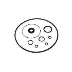 Massey Ferguson 240 VPJ4004 Vairo siurblio remonto komplektas