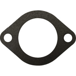 Massey Ferguson 250 36834169 Termostato tarpiklis Perkins