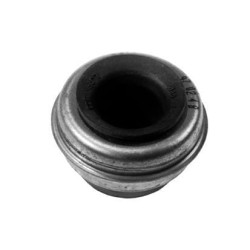 Massey Ferguson 275 VPE2597 vandens siurblio sandariklis