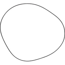 Massey Ferguson 275 3611458M1 O žiedas