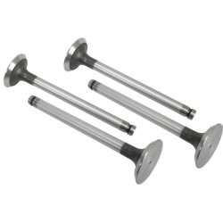 Massey Ferguson 290 VPA1110 Išmetimo vožtuvas