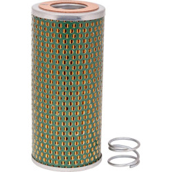 Massey Ferguson 290 1810539M92 filtras