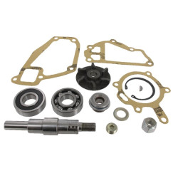 Massey Ferguson 372 3641333M91 Vandens siurblio remonto komplektas