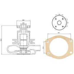 Massey Ferguson 342 41312487KR Vandens siurblys, tinkamas Perkins