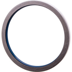 Massey Ferguson 350 3429004X1N sandariklis B1SLSF 165x190x14.2 72NBR