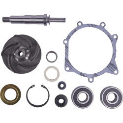 Massey Ferguson 375 9900193N Vandens siurblio remonto komplektas