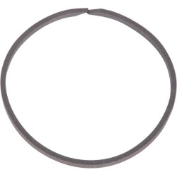 Massey Ferguson 399 3612141M1N segmentas