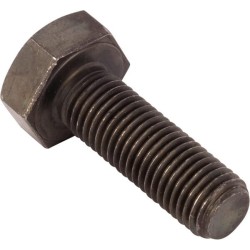 Case - IH Maxxum 100 16204430 Varžtas