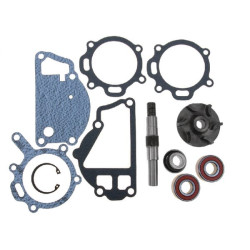 Massey Ferguson 590 VPE2073 Vandens siurblio remonto komplektas