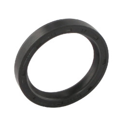 Massey Ferguson 35 195503M1GP Alyvos sandariklis