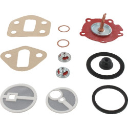 Massey Ferguson FE35 4222125M91 kuro pakėlimo siurblio komplektas