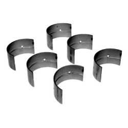 Massey Ferguson FE35 VPC3000 Pagrindinis guolių komplektas