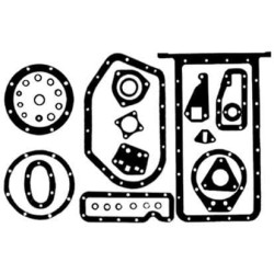 Massey Ferguson FE35 VPC6138 Dugno tarpiklių komplektas