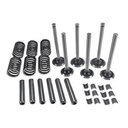 Vožtuvų komplektas Massey Ferguson 140 VPA6004