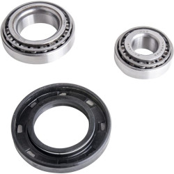 Massey Ferguson 140 1639081M91N rato guolių komplektas