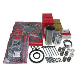 Massey Ferguson 145 VPB9174 komplekto variklis