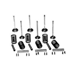 Vožtuvų komplektas Massey Ferguson 135 VPA6003