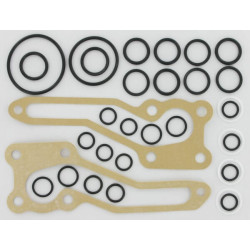 Massey Ferguson 135 1810684M92GP remonto komplektas