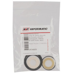 Massey Ferguson 135 VPJ4009 Vairo sandariklio komplektas