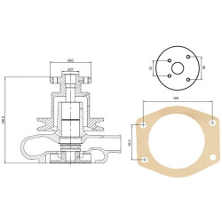Massey Ferguson 148 41312784KR Vandens siurblys tinka Perkins