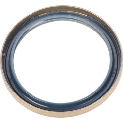 Case - IH Maxxum 110 47137455 sandariklis