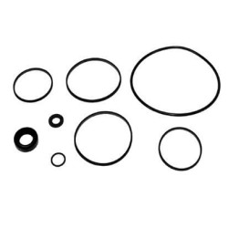 Massey Ferguson 188 VPJ4002 Vairo siurblio remonto komplektas