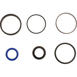 Massey Ferguson 273 1609086M91 vairo cilindro remonto komplektas