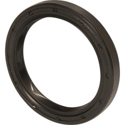 Massey Ferguson 283 392825X1 žiedas