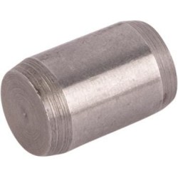 Case - IH Maxxum 115 17275310 Šakė