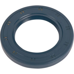 Massey Ferguson 293 392101X1 žiedas