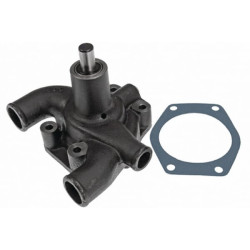 Massey Ferguson 254S VPE1153 vandens siurblys