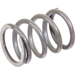 Massey Ferguson 284 1423672M1 spyruoklė