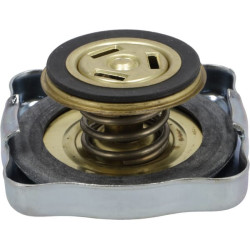 Massey Ferguson 294 1824628M91 kištukas