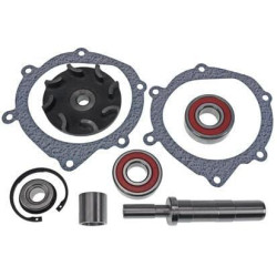 Massey Ferguson 1014 VPE2074 Vandens siurblio remonto komplektas