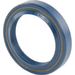 Massey Ferguson 1134 395522X1 Alyvos sandariklis