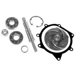 Massey Ferguson 2680 VPE2029 Vandens siurblio remonto rinkinys