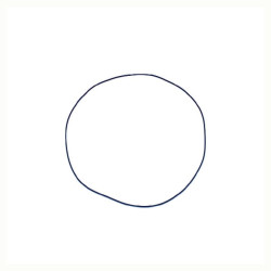 Massey Ferguson 4215 NWS00078 O žiedas