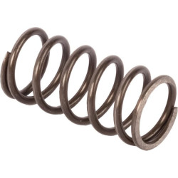 Massey Ferguson 4215 3610591M3 spyruoklė