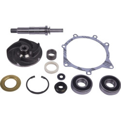 Massey Ferguson 4225 9900193N Vandens siurblio remonto komplektas