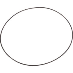 Massey Ferguson 4240 3760819M1 O žiedas