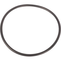 Massey Ferguson 4255 3815650M1 O žiedas