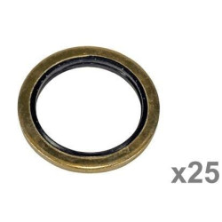 Massey Ferguson 4255 VFE3004 Priklijuotas sandariklis