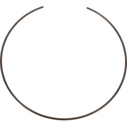 Massey Ferguson 6260 3428523M1N žiedas