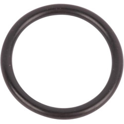 New Holland T4.95F 14438185 O formos žiedas