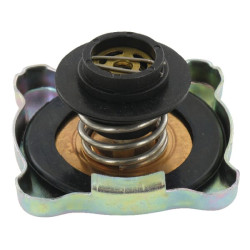 New Holland TD5040 84250072 Radiatoriaus dangtelis CNH