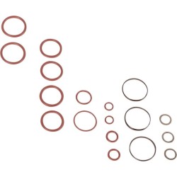 Case - IH Maxxum 110EP Efficient Power Engine Tier 4A 2/12-12/15 5190771 rinkinys, sandarikliai