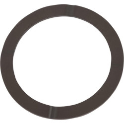 New Holland TS110A Delta 81878951 Ring