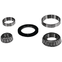 New Holland TS115A VPJ2206 Wheel bearing kit