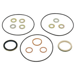 New Holland TS115A Delta 5196607 Gasket set