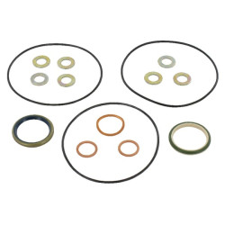 New Holland TS115A Plus 5196607 Gasket set